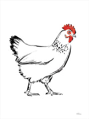 CTD163 - Black and White Chicken Sketch - 12x16