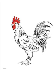 CTD164 - Black and White Rooster Sketch - 12x16