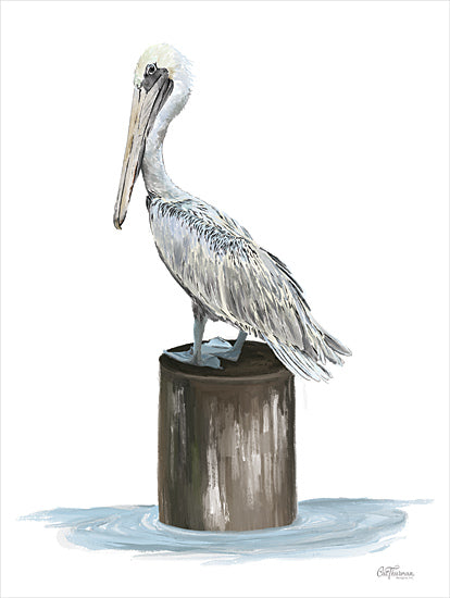 Cat Thurman Designs CTD183 - CTD183 - Pelican Side Eye - 12x16 Coastal, Pelican, Post, Sideview, White Pelican from Penny Lane