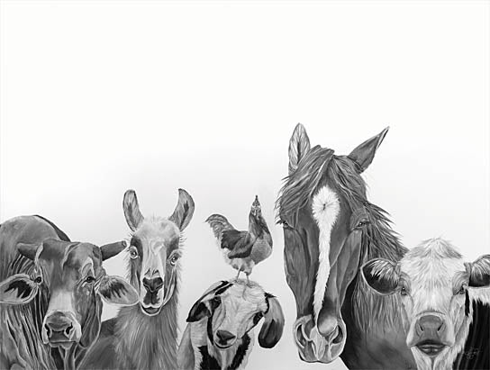 Diane Fifer DF140 - DF140 - Farm Crew - 16x12 Animals, Farm Animals, Horse, Llama, Cows, Goat, Dog, Rooster, Drawing Print, Sketch, Black & White from Penny Lane