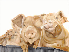 DF153 - Three Pigs - 16x12