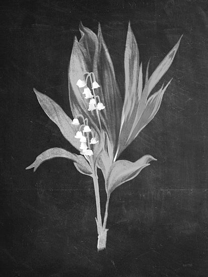 House Fenway FEN888 - FEN888 - Lily of the Valley - 12x16 Flower, Lily of the Valley, Sketch, Drawing Print, Spring, Black & White from Penny Lane