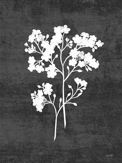 House Fenway FEN907 - FEN907 - Wild Milkweed I - 12x16 Flowers, Wild Milkweed, Silhouette, Sketch, Drawing Print, Black & White from Penny Lane