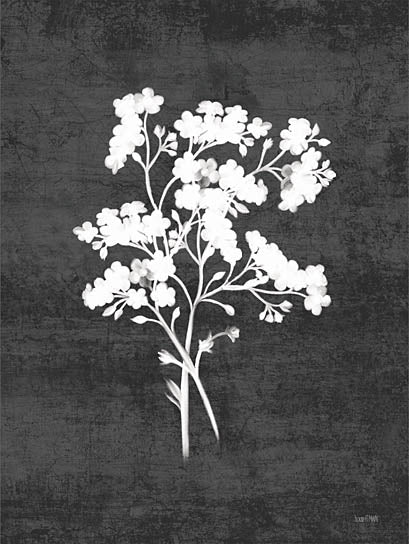 House Fenway FEN908 - FEN908 - Wild Milkweed II - 12x16 Flowers, Wild Milkweed, Silhouette, Sketch, Drawing Print, Black & White from Penny Lane