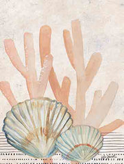 KD174 - Seashells and Coral I - 12x16