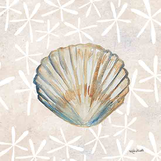 Katie Doucette KD177 - KD177 - Seashell - 12x12 Coastal, Seashell, Patterned Background from Penny Lane