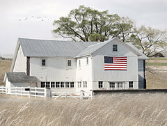 LD3163LIC - USA Patriotic Barn - 0