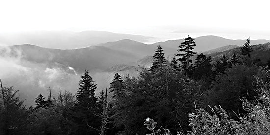Lori Deiter LD3352 - LD3352 - Smoky Mountain Views II - 18x9 Photography, Landscape, Mountains, Smoky Mountains, Trees, Black & White, Nature from Penny Lane