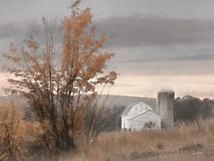 LD3484 - Watkins Glen Farm in Autumn - 16x12
