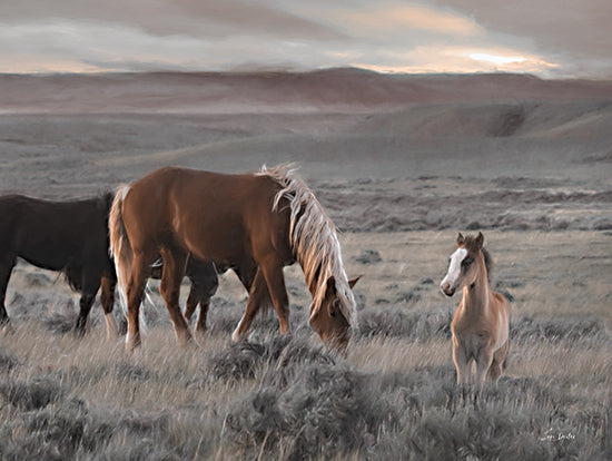 Lori Deiter LD3486 - LD3486 - Cody Wild Horses - 16x12 Photography, Horses, Wild Horses, Landscape, Hills, Grass from Penny Lane