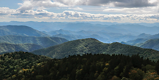 Lori Deiter LD3532 - LD3532 - Blue Ridge Mountain Tops - 18x9 Photography, Landscape, Mountains, Blue Ridge Mountains, Trees, Sky, Clouds from Penny Lane