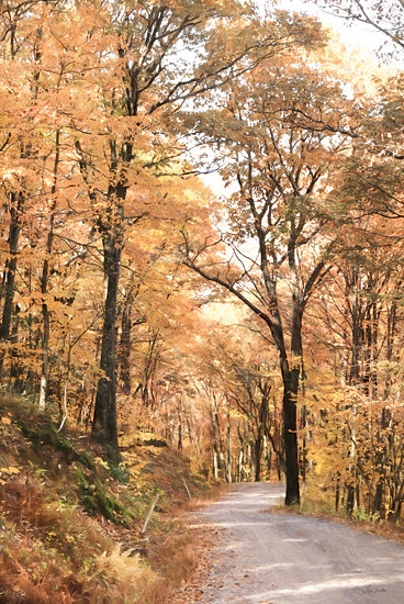 Lori Deiter LD3554 - LD3554 - Autumn in the Valley II - 12x18 Photography, Landscape, Trees, Fall, Fall Leaves, Road, Yellow Leaves from Penny Lane