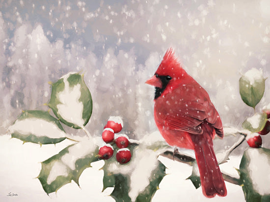 Lori Deiter LD3720 - LD3720 - Holly Berry Cardinal - 16x12 Photography, Christmas, Holidays, Cardinal, Holly, Berries, Winter, Snow from Penny Lane