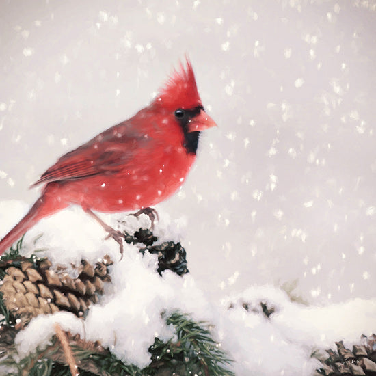 Lori Deiter LD3724 - LD3724 - Winter Cardinal II - 12x12 Photography, Christmas, Holidays, Cardinal, Pine Tree, Tree, Pine Cones, Winter, Snow from Penny Lane