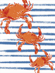 MAT223 - Crabs on Stripes    - 12x16