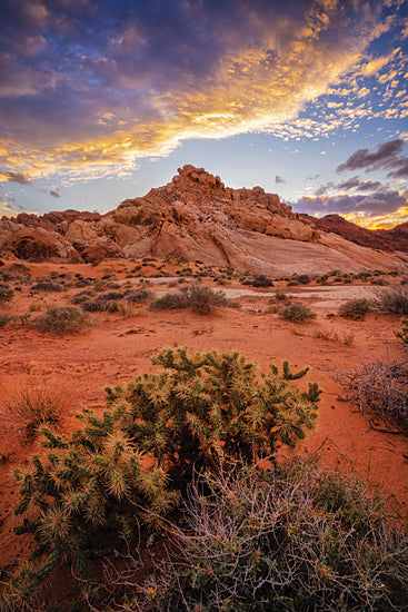 Martin Podt MPP1011 - MPP1011 - Sunset in the Valley of Fire - 12x18 Photography, Landscape, Grand Canyon, Canyon, Rocks,  Brush, Cactus, Valley of Fire, Sunset from Penny Lane