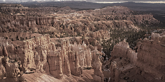 Martin Podt MPP1032 - MPP1032 - Rock Walls of Bryce - 18x9 Photography, Landscape, Bryce Canyon, Canyon, Rocks, Trees, Utah from Penny Lane