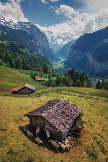 Martin Podt MPP1052 - MPP1052 - Sheep in The Alps - 12x18 Photography, Europe, The Alps, Landscape, Mountains, Mountain Range, Sheep, Barn, Houses, Trees, Clouds, Sky from Penny Lane