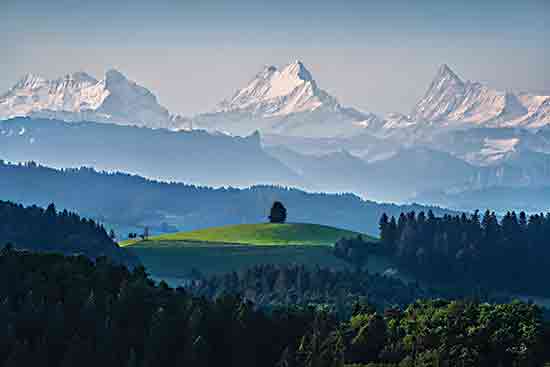 Martin Podt MPP1053 - MPP1053 - Majestic View I - 18x12 Photography, Landscape, Mountains, Trees, Nature, Majestic View from Penny Lane