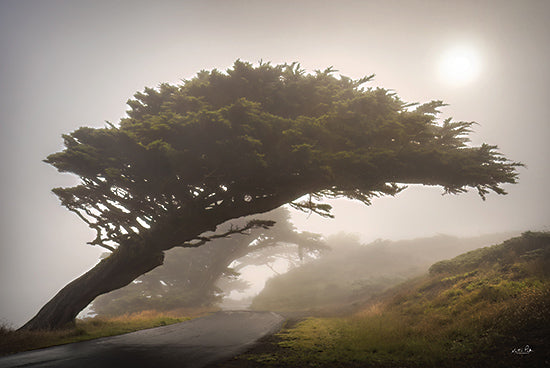 Martin Podt MPP1077 - MPP1077 - The Leaning Tree - 18x12 Photography, Landscape, Tree, Leaning Tree, Road from Penny Lane