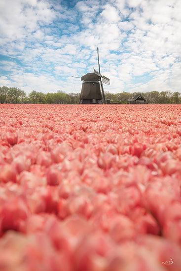 Martin Podt MPP1151 - MPP1151 - Windmill Whispers - 12x18 Photography, Tulips, Pink Tulips, Landscape, Windmill, Sky, Clouds, Trees from Penny Lane