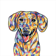 MS209LIC - Rainbow Dachshund - 0