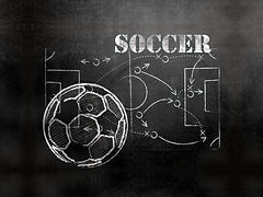 MS248 - Soccer Plays - 16x12