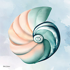 ND171 - High Tide Shell - 12x12