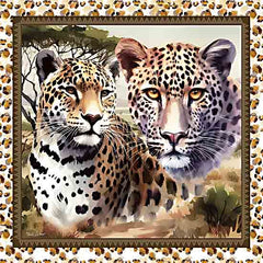 ND308 - African Safari Leopards - 12x12