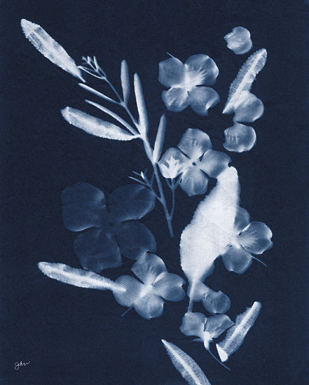 Julie Norkus NOR327 - NOR327 - Indigo Hydrangea - 12x16 Flowers, Hydrangea, Cyanotypes, Indigo, White, Flower Silhouette, Contemporary from Penny Lane