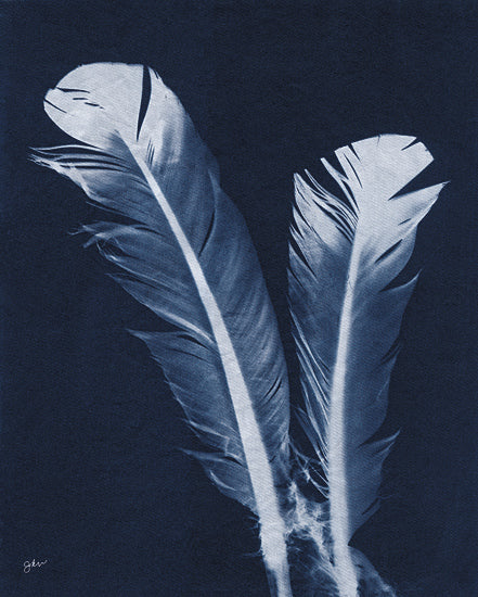 Julie Norkus NOR328 - NOR328 - Indigo Feathers I - 12x16 Feathers, Cyanotypes, Indigo, White, Silhouette, Contemporary from Penny Lane