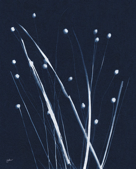 Julie Norkus NOR331 - NOR331 - Indigo Firefly - 12x16 Grass, Fireflies, Cyanotypes, Indigo, White, Silhouette, Contemporary from Penny Lane