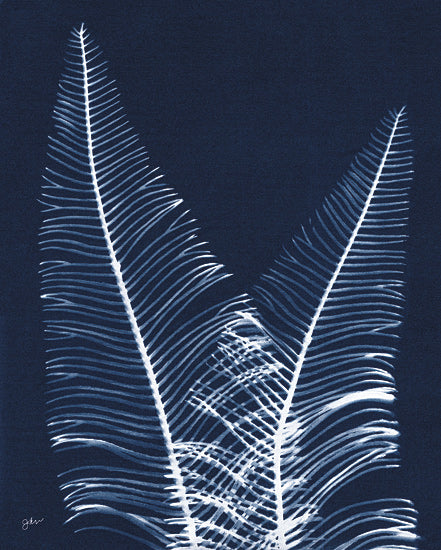 Julie Norkus NOR332 - NOR332 - Indigo Large Ferns - 12x16 Greenery, Ferns, Cyanotypes, Indigo, White, Silhouette, Contemporary from Penny Lane