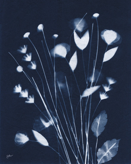 Julie Norkus NOR334 - NOR334 - Indigo Wildflower - 12x16 Flowers, Wildflowers, Cyanotypes, Indigo, White, Silhouette, Contemporary from Penny Lane