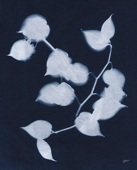 Julie Norkus NOR335 - NOR335 - Indigo Heartleaf - 12x16 Greenery, Leaves, Heartleaf, Cyanotypes, Indigo, White, Silhouette, Contemporary from Penny Lane