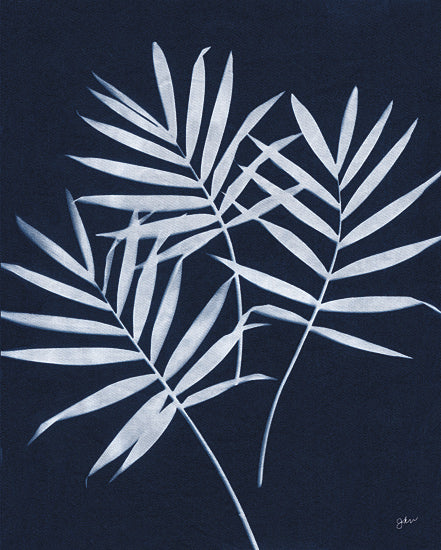 Julie Norkus NOR337 - NOR337 - Indigo Palm - 12x16 Greenery, Leaves, Palm Leaves, Cyanotypes, Indigo, White, Silhouette, Contemporary from Penny Lane