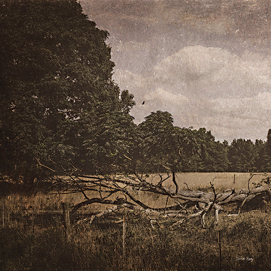 Jennifer Rigsby RIG249 - RIG249 - Wilderness - 12x12 Photography, Landscape, Trees, Clouds, Sky, Tree Trunk, Field from Penny Lane