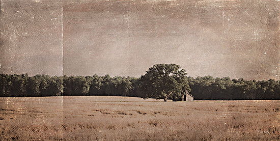 Jennifer Rigsby RIG250 - RIG250 - Reclaimed Rest - 18x9 Photography, Landscape, Trees, Cabin, Clouds, Sky, Field from Penny Lane