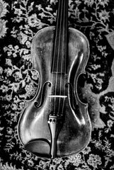 RIG260 - Violin Grace - 12x18