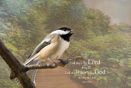 Robin-Lee Viera RLV701 - RLV701 - I will Sing to the Lord - 18x12 Photography, Religious, I Will Sing to the Lord All My Life, Psalm, Bible Verse, Typography, Signs, Textual Art, Bird, Tree Branch, Trees, Path from Penny Lane