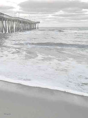 SDS1401 - Coastal Gray Day II - 12x16