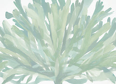 SDS1508 - Soothing Seagrass 1 - 16x12