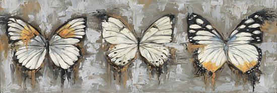 Sara G. Designs SGD202 - SGD202 - Graffitist Beauties - 18x6 Still Life, Butterflies, Three Butterflies, White and Black Butterflies, Brush Strokes from Penny Lane