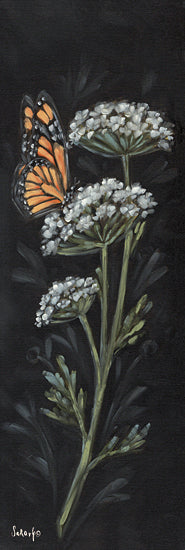 Sara G. Designs SGD203B - SGD203B - Noir Botanical I - 12x36 Wildflower, Queen Anne's Lace, Butterfly, Orange Butterfly, Botanical, Black Background from Penny Lane