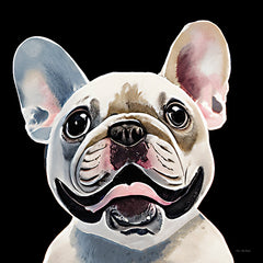 ST1077 - The Bulldog - 12x12