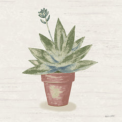 ALP2629 - Blooming Succulent II - 12x12