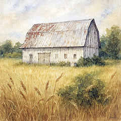 ANT226 - Sandoval Barn - 12x12