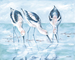 ART1365 - Shorebirds I - 16x12