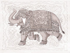 AS250 - Graceful Elephant - 16x12