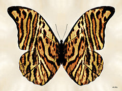 AS360 - Tiger Striped Butterfly - 16x12